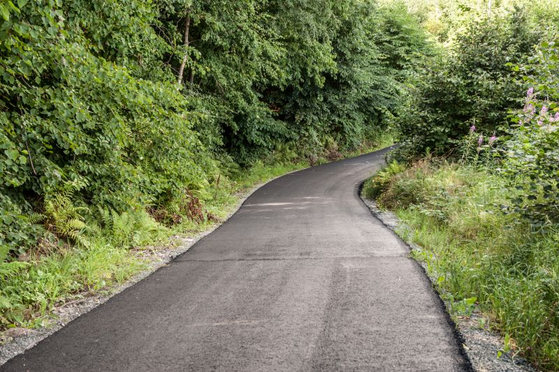 Driveway Asphalt Paving